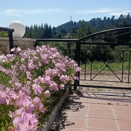 Apartment Summer Breeze